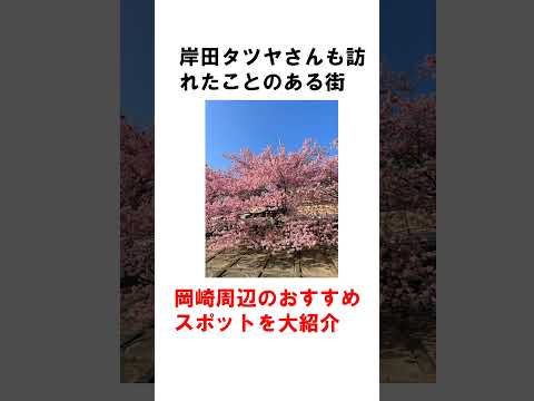 【岡崎】住みやすい街！歴史とグルメが堪能できる街【岸田タツヤ】 #shorts #岡崎 #愛知 #歴史と文化 #グルメ旅