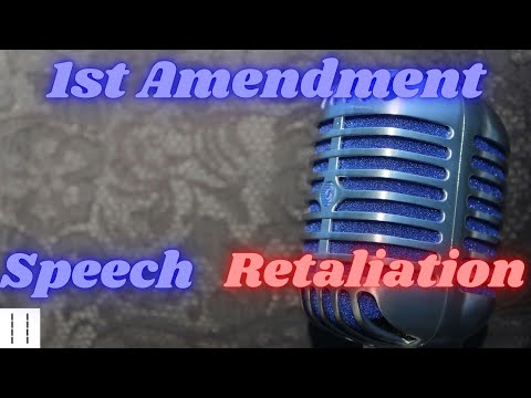 Court 101:1st Amendment Speech and Retaliation   Competence  Over Impulse (Preview)