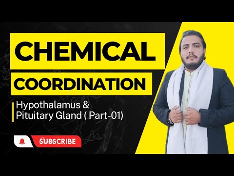 Hypothalamus & Pituitary Gland part - 1 by Uzair Sir