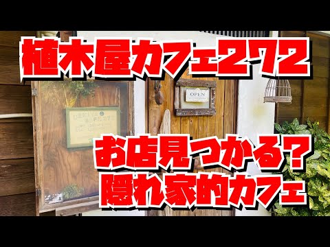 【埼玉グルメ】お店が見つからない！？深谷市の隠れ家カフェ✨ドックランもいい子にできる小型犬は店内もOKの癒されカフェ✨