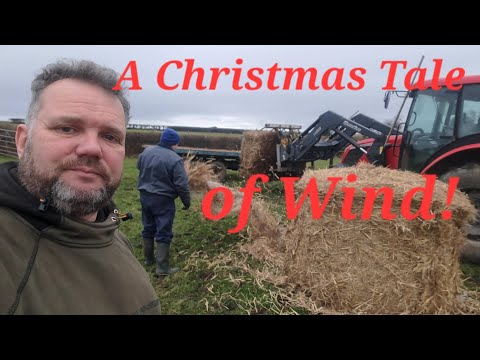 Zetor tractor on winter feeding ,and hay barn roof blows off