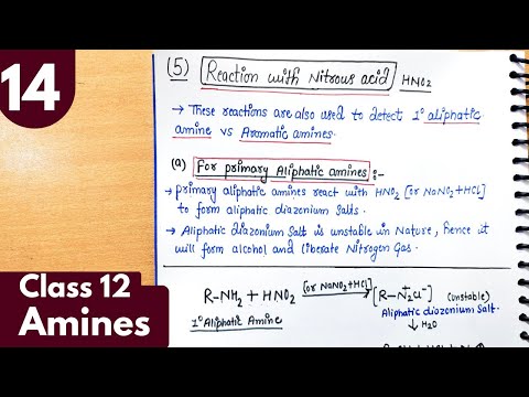 14) Reaction of amines with nitrous acid | Test for 1° aliphatic vs aromatic amines| Amines class12