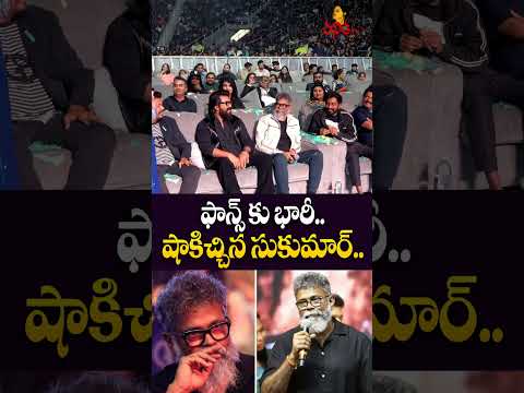 ఫాన్స్ కు భారీ.. షాకిచ్చిన సుకుమార్.. | Sukumar Serious Comments On Stopping Making Movies