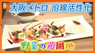 鉄道だけじゃない！大阪メトロの新事業とは？超一流シェフが手掛けるカフェレストランも