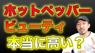 ホットペッパービューティは高い？！費用対効果はどんなもん？