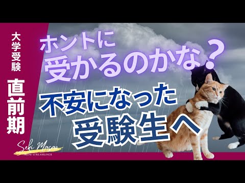 関 正生【大学受験／直前期の受験生へ】気持ちはわかる　№303