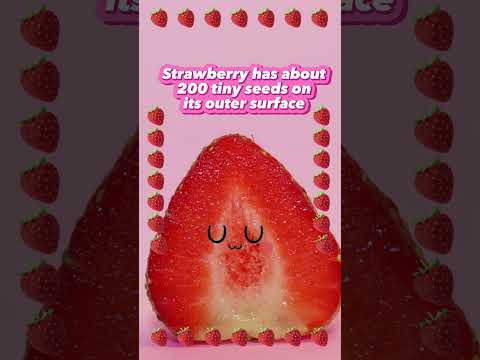 Strawberry fun facts #kidslearningisfunwithus