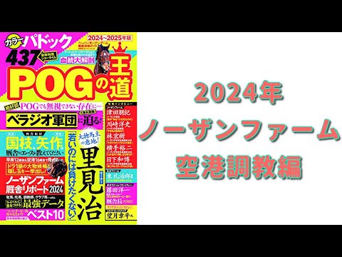 「POGの王道」2歳馬を動画で紹介！【ノーザンファーム空港調教編】