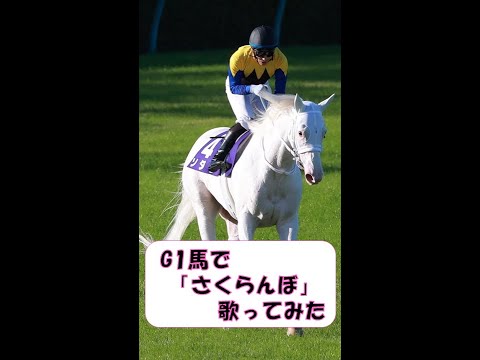 G1馬で【さくらんぼ】歌ってみた