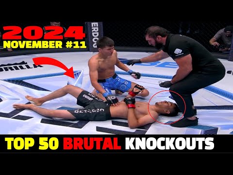 Top 50 Brutal Knockouts November 2024 #11 (MMA•Muay Thai•Boxing•Kun Khmer)