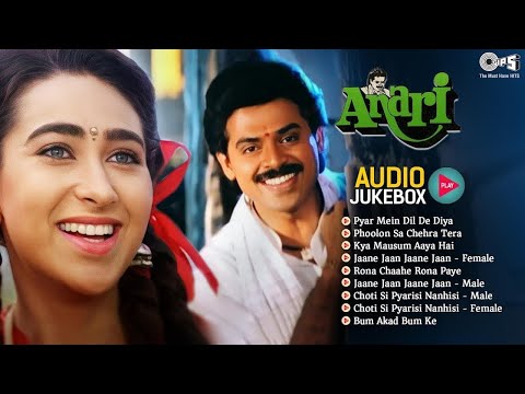 Anari Movie All Songs | Bollywood 90's Hits | Karisma Kapoor | Venkatesh Hits | 90's Evergreen Songs