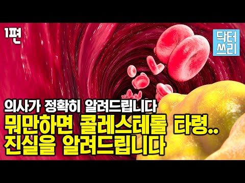 당신의 혈관이 위험한 이유! 정말 나쁜 콜레스테롤 때문일까? [콜레스테롤 대 사기극 1부]