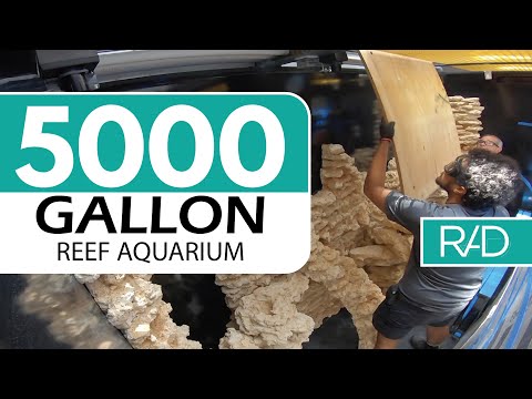 5000 GALLON REEF AQUARIUM INSTALLATION BY REEF AQUARIA DESIGN - FORT LAUDERDALE, FLORIDA