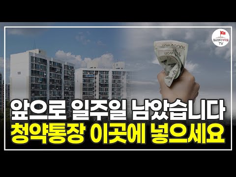 단, 일주일 밖에 안 남았습니다. 서울 아파트 싸게 살 수 있는 역대급 기회 절대 놓치지 마세요 (알쓸청약 주우이)