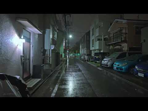 Suburban Tokyo Rainy Night Walk • 4K HDR