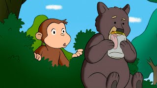 George Meets A Bear 🐻🐵 Curious George 🐵 Animal Friends