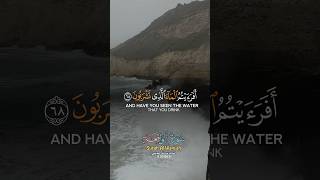 Mughasil beach Salah Oman. | khareef 2024 | #quran #islam #zamurvlogs #salalah