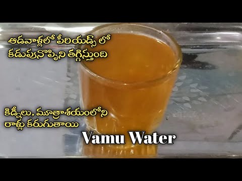 Vamu Water|vamu water preparation in telugu |vamu water uses in telugu|ajwain water|RuchulaHarivillu