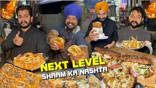 Model Town Ka Nashta | Ludhiana Food Tour | Cassata Sandwich | Muchh Marod Burger |