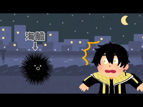 【vtuber繁中翻譯】夜路走多了總會撞到海膽/夜迴【とーる】