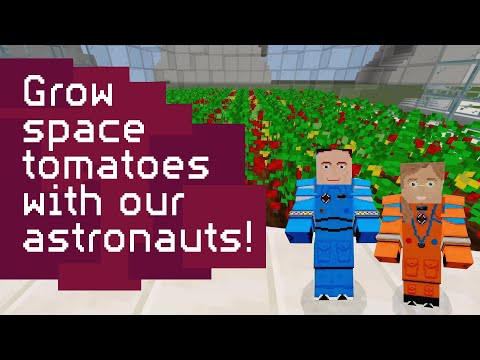 Dive into Tomatosphere Adventure!