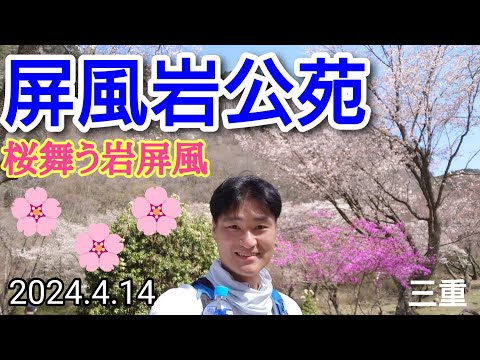 屏風岩公苑  桜舞う岩屏風🌸2024