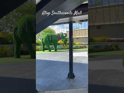 Nice view from atop southwoods mall #youtubeshorts #highlights #fypシ゚viral #shortstrending