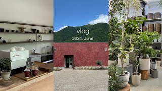 vlog | 丹波篠山_カフェとうつわ(丹波焼)と植物屋さん🪴