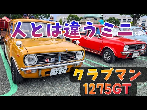 2台のクラシックミニ　クラブマン　1275GTにメロメロ　富士山オールドカーフェスタ2023