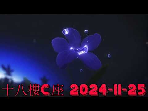 十八樓C座 2024-11-25.