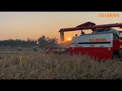 Fieldking Multi Crop Harvester - Best Combine Harvester in India