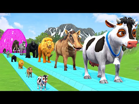 Paint & Animals Cow,Gorilla,Elephant,Lion,Tiger,Dinosaur, Fountain Crossing Transformation Cartoon