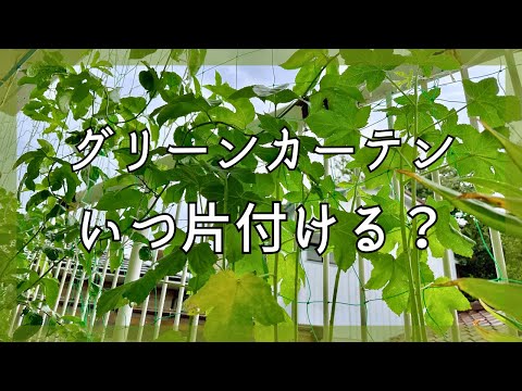 家庭菜園【食糧備蓄】秋の栽培計画立ててみた