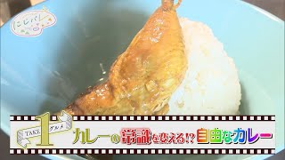 【カレーは自由だ！】福井県福井市の「水色食堂」★にじパレ TAKE１グルメ★Spice curry shop in Fukui（Japan）