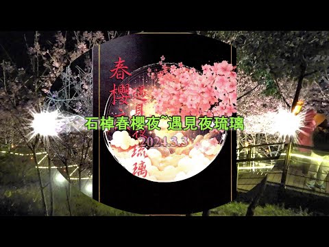 2024.3.3~石棹春櫻夜~遇見夜琉璃    阿里山~石棹茗苑民宿