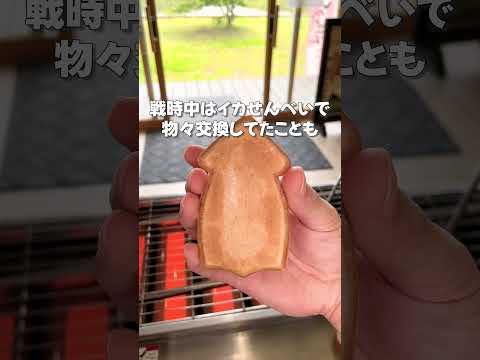 いかせんべいって美味しいの？