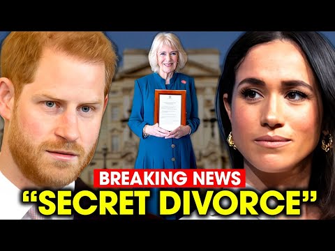 Meghan Just Revealed Shocking Details On How To Secretly Divorce Prince Harry