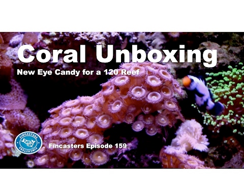 CORAL UNBOXING Fincasters Episode 159