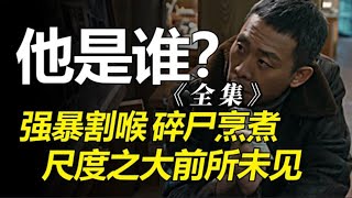 一口气看完张译悬疑新剧《他是谁》全集：案件原型，南大女学生被分尸，凶手依然逍遥法外！