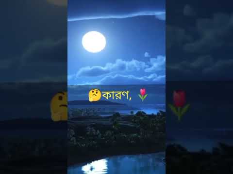 সত্যিটাকে এখন প্রমাণ করতে হয় ||#shorts