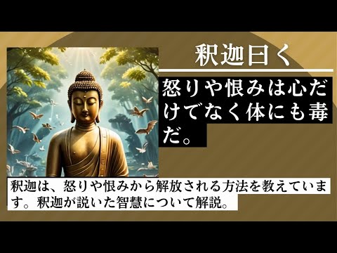 「怒りや恨みを手放す」釈迦（ブッダ）の智慧—心を軽くする秘訣、釈迦（ブッダ）は心の乱れを改善させればやがて幸福感が増し、幸せな人生を築く事ができると言っています。