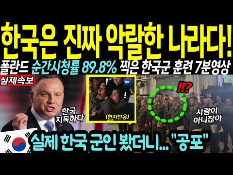 "무서워죽겠다!" 순간 시청률 89.8% 찍은 한국 특수부대 군사 훈련 영상에 기겁하는 폴란드 4천만 시청자들 반응