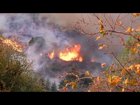 Los Angeles Fires Rage On as More Dry Winds Forecast｜TaiwanPlus News