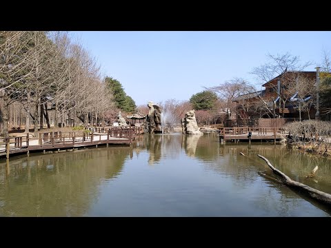 Nami Island，韓劇冬季戀歌拍攝地--南怡島