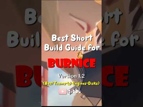 BEST BURNICE BUILD GUIDE Short and simple (ZENLESS ZONE ZERO)