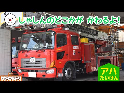 【アハ体験】いろんな乗り物で脳トレ！はたらくくるまの知育アニメ | Aha experience video for kids | Vehicles