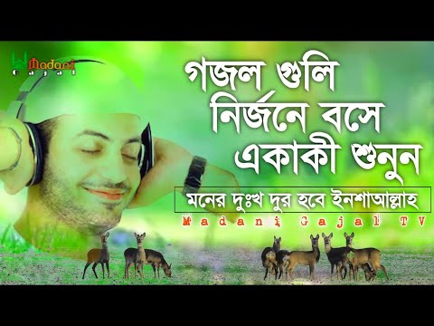 মনের দুঃখ দূর করা সেরা ৫টি গজল | নির্জনে বসে গজল গুলি শুনুন মনের উদাসী দূর হবে | 2024 Album Gojol