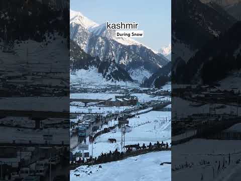 Snowfall in kashmir shorts #ytshorts #snowfall #gulmarg #sonmarg