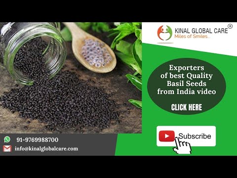 Indian Basil Seeds