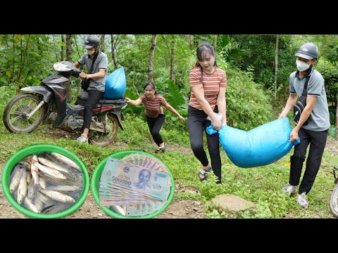 I used $200 to buy fingerlings to stock in my new pond and pick wild banana leaves to sell